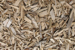biomass boilers Dengie
